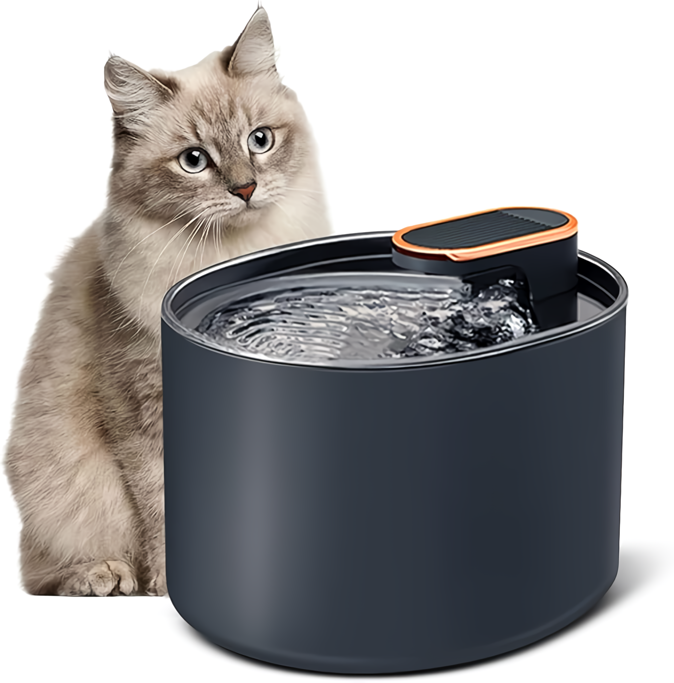 Bebedero Fuente de Agua Gatos Mascotas